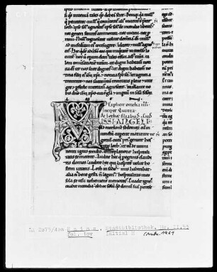 Homilien — Initiale M(issi angeli), Folio 10verso