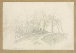 Steinbrücke in Walluf