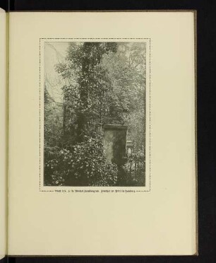 J. B. Wentzel Familiengrab. Friedhof St. Petri in Hamburg