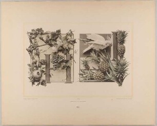 VIII. Initiale H I mit Granatapfel, Wein, Kanne - Ananas und Papagei