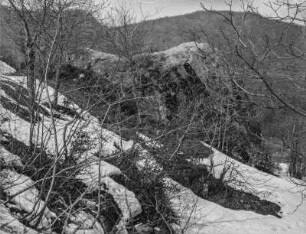 Alpine Landschaft : Blick in eine verschneite, alpine Landschaft. Im Vordergrund Buschvegetation