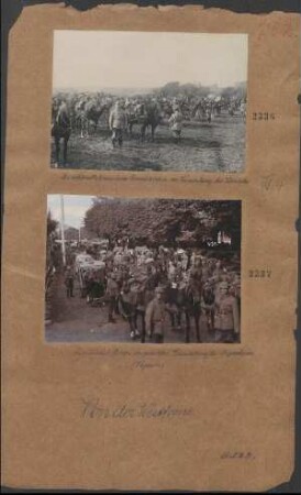 Munitionskolonne in gedeckter Versammlung bei Ingersheim/Vogesen
