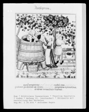 Theatrum Sanitatis — Bildseite mit Darstellung des Herbstes