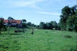 Ortsrand mit Nutzgärten, Scheunen, Wiese