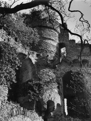 Reichenberg Rhein-Lahn-Kreis. Burg Reichenberg (1319/1352, 1370/1385, Restaurierung 1649-1651). Teilansicht