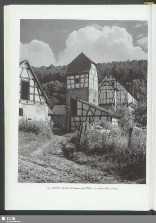 Schloß Nauses, Torturm und Palas der ehem. Wasserburg