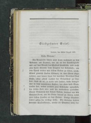 Siebzehnter Brief.