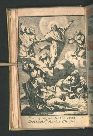 Haec quoque testis erat deitatis gloria christi.