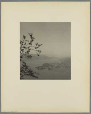 Blick vom Bürgenstock : Blick vom Bürgenberg auf den Vierwaldstätter See