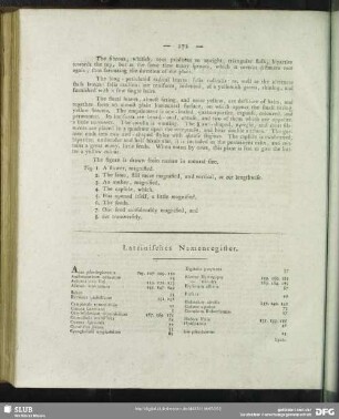 Lateinisches Namensregister