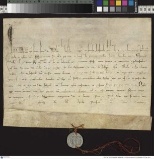 Papst Innozenz IV. bestätigt die Privilegien seiner Vorgänger und der Prälaten für den Deutschen Orden (Solet annuere).