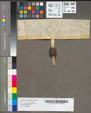 Urkunde, die sich auf die testamentarische Verfügung der virginis Anna Hamichholz bezieht.