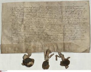 Henne von Storndorf verkauft mit Konsens der Riedesel zwei Wiesen zu Willmenrod an Pastor Johann Blankenwald zu Lauterbach
