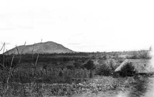 Savanne : Savannenlandschaft mit Hütte und Berg.