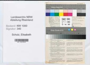 Entnazifizierung Elisabeth Schulz, geb. 13.06.1912 (Sekretaerin)