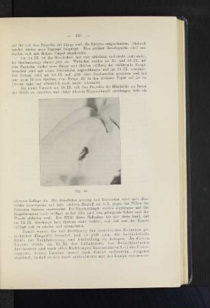 Fig. 44.
