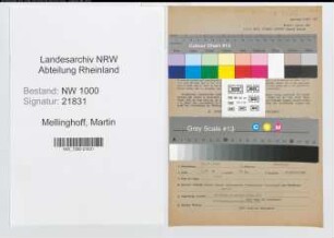 Entnazifizierung Martin Mellinghoff, geb. 20.11.1901 (Telegrafensekretaer)