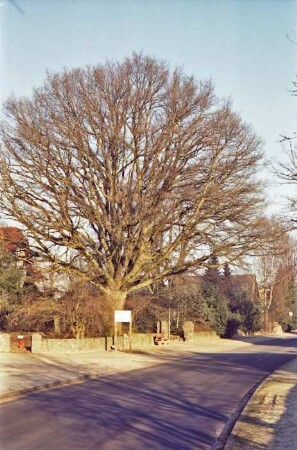 Dorfstraße 18: Friedenseiche, in Grünanlage: davor Feldsteinmauer mit Inschrift, Ruhebank: davor auf Fußgängerweg Tafel