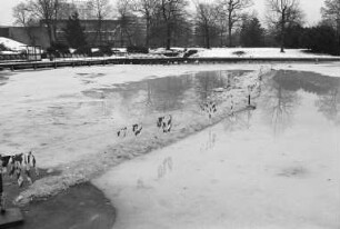 Winterstimmung im Stadtgarten