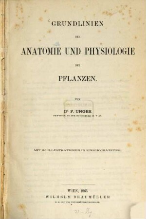 Grundlinien der Anatomie und Physiologie der Pflanzen