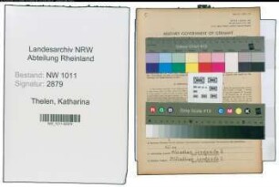 Entnazifizierung Katharina Thelen , geb. 15.09.1910 (Schneiderin)