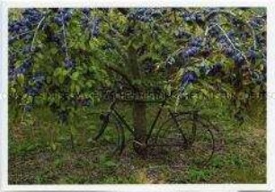 Postkarte aus der Serie Bikes/Fahrräder/Bicyclettes