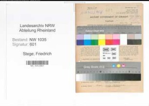 Entnazifizierung Friedrich Stege , geb. 06.01.1905 (Lehrer)