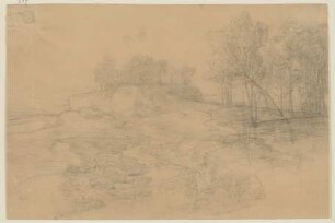 Landschaft mit Felsen und Bäumen