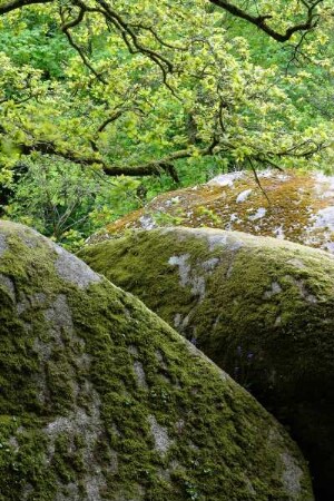 Frankreich. Bretagne. Finistere. Huelgoat. Granit Chaos