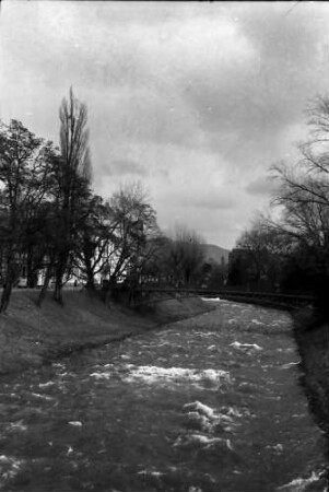 Freiburg: Hohes Wasser auf der Dreisam