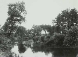 Auenlandschaft an der Weißen Elster bei Quasnitz