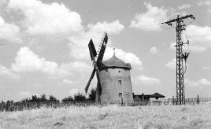 Doberschütz-Paschwitz. Blick zur Mühle Friedemann, Turmholländer, Mühlweg 4