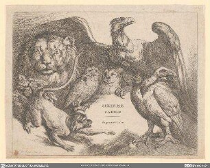 [Etudes d'animaux et de paysage] Sixieme Cahier du premier Livre