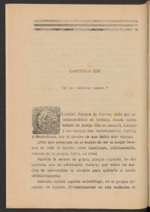 Capítulo XIV - "Si no volviera nunca..."