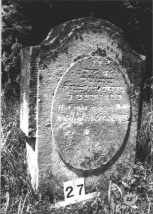 Grabstein 25 (Index: 99805240) Material: Sandstein Zustand: stark verwittert mit Textverlust Maße HxBxT: 90x60x23 cm Beschreibung: Stele, Konvexbogenabschluß, ovales erhabenes Schriftfeld: Grabstein 25