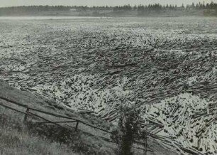 Suomi, Finnland, Floßholz