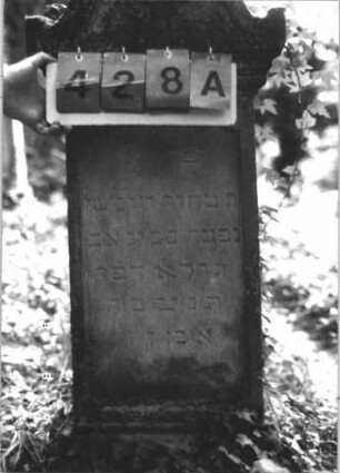 Grabstein 428 (Index: 99800270) Material: Sandstein Zustand: verwittert Maße HxBxT: 125x52x17 cm Beschreibung: Stele, spitzer Giebelaufsatz mit Mittelpalmette u. Seitenakroteren, Schriftfeld rechteckig eingetieft, Sockel: Grabstein 428A