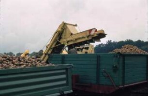 Fotografie: Erntetechnik, Kartoffel, Kartoffelroder, Rodelader, Parallelverfahren