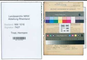 Entnazifizierung Hermann Trost , geb. 15.04.1902 (Kaufm.angest.)