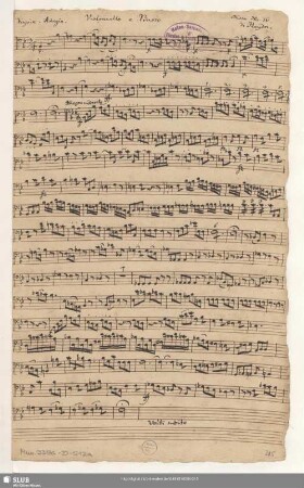 Violondello e Basso [= b; nur Kyrie und Gloria]