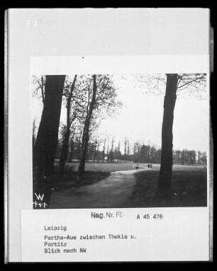 Parthe-Aue