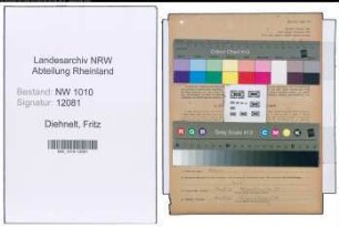 Entnazifizierung Fritz Diehnelt , geb. 28.05.1903 (Arbeiter)