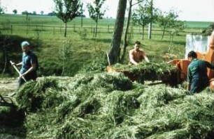 Fotografie: Ein- und Auslagerungstechnik, Hochsilo, Grassilage, Gebläsehäcksler, Handarbeit
