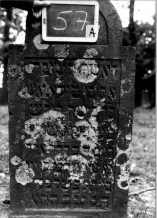 Grabstein 57 [Nir S. 57 Nr. 6.13]: Grabstein 57 (Detailaufnahme) [Nir S. 57 Nr. 6.13]