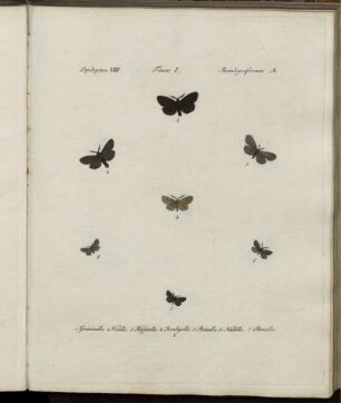 [Abb.] 1. [bis] [Abb.] 70. [siehe arabische Paginierung]