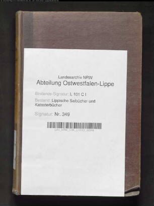 Salbuch der Stadt Lemgo von 1861, Bd. 6 (Duplikat)