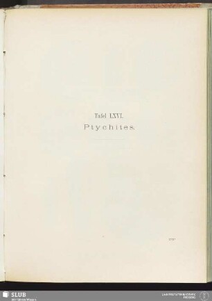 Tafel LXVI. Ptychites