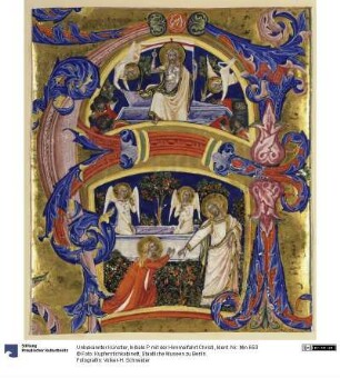 Initiale P mit der Himmelfahrt Christi