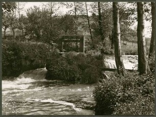 Wehr im Pfälzer Wald