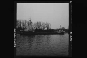 Simone ex Tina (1969), H.D. Logemann, Limassol